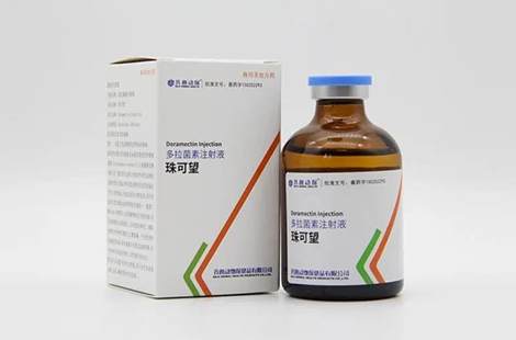 long8-唯一官方网站