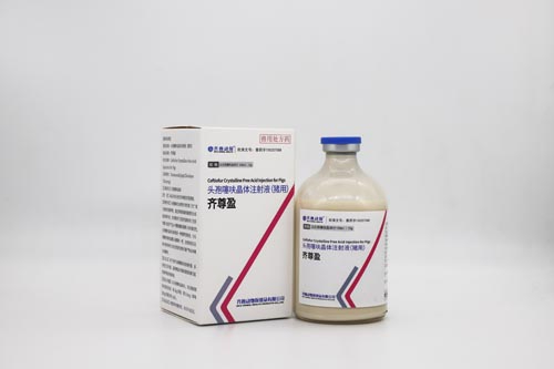 头孢噻呋晶体注射液（猪用）