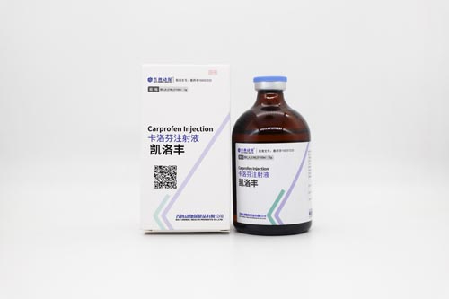 long8-唯一官方网站