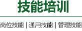 企业愿景